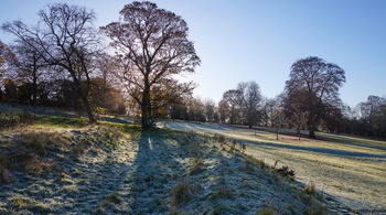 Frosty morning Tapton park maze This landscape photograph captures a frosty winter morning at Tapton Park maze in Chesterfield, United Kingdom. The scene showcases nature in the park with sunlight streaming through bare trees, casting long shadows on the frost-covered grass. The image highlights the intricate patterns formed by frost on the ground and the wintry appearance of trees, with their branches outlining against a clear blue sky typical of winter mornings. Tapton Park is known for its maze and expansive grounds, and the photograph provides a wide view of the area, reflecting the tranquil beauty of the park and natural surroundings at this time of year.